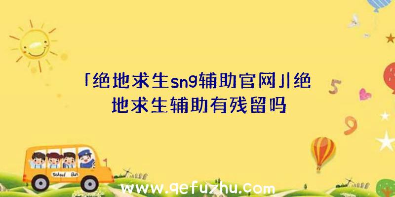 「绝地求生sng辅助官网」|绝地求生辅助有残留吗